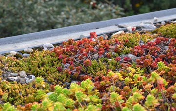 the cost of Broughton Hackett green roof installation