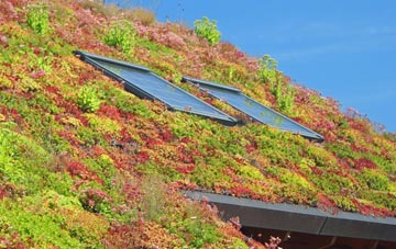Broughton Hackett living roof systems